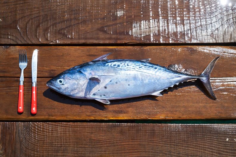 冷冻食品记账软件有哪些好用 冷冻食品记账软件大揭秘：这些软件最受欢迎