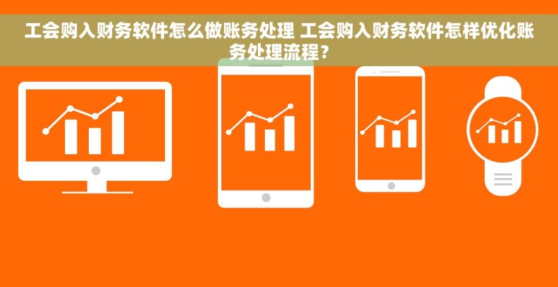 工会购入财务软件怎么做账务处理 工会购入财务软件怎样优化账务处理流程？