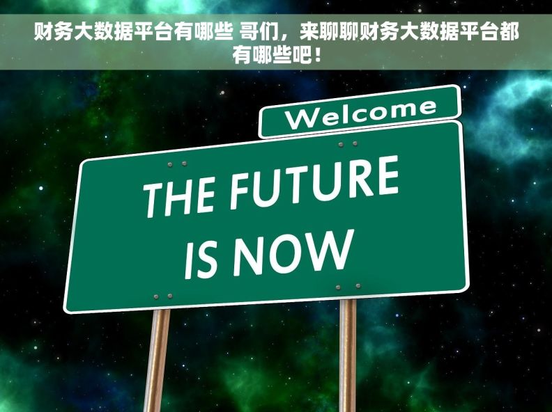 财务大数据平台有哪些 哥们，来聊聊财务大数据平台都有哪些吧！