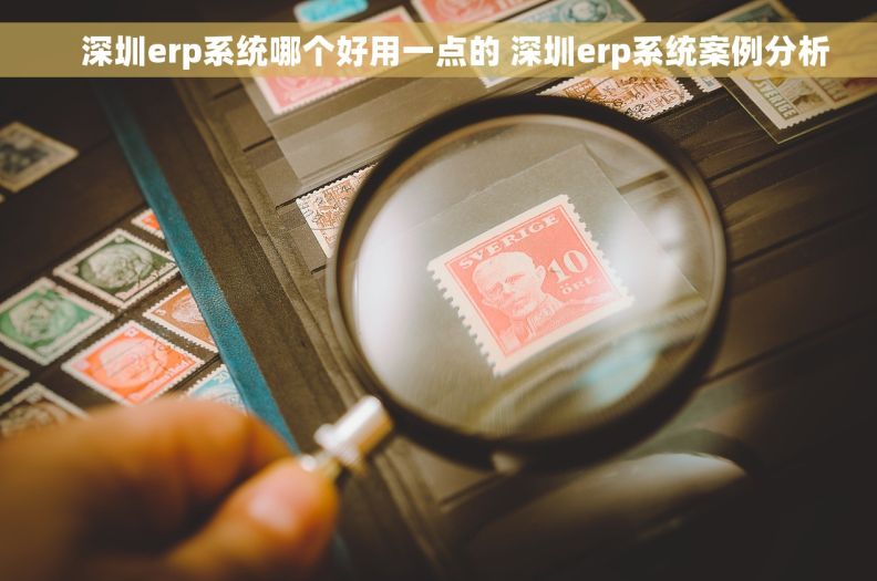     深圳erp系统哪个好用一点的 深圳erp系统案例分析