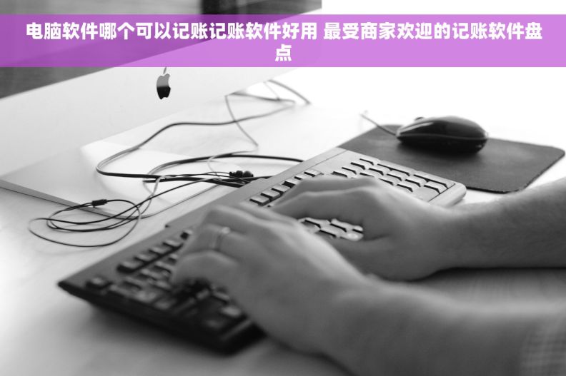 电脑软件哪个可以记账记账软件好用 最受商家欢迎的记账软件盘点