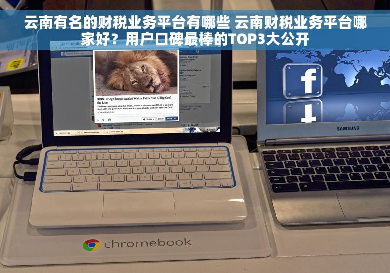 云南有名的财税业务平台有哪些 云南财税业务平台哪家好？用户口碑最棒的TOP3大公开