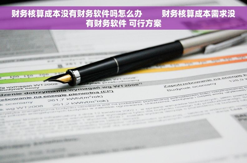 财务核算成本没有财务软件吗怎么办         财务核算成本需求没有财务软件 可行方案