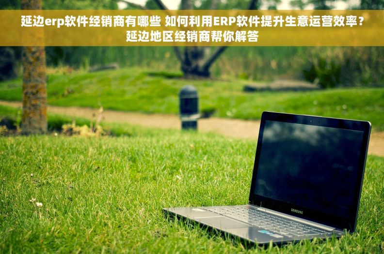 延边erp软件经销商有哪些 如何利用ERP软件提升生意运营效率？延边地区经销商帮你解答