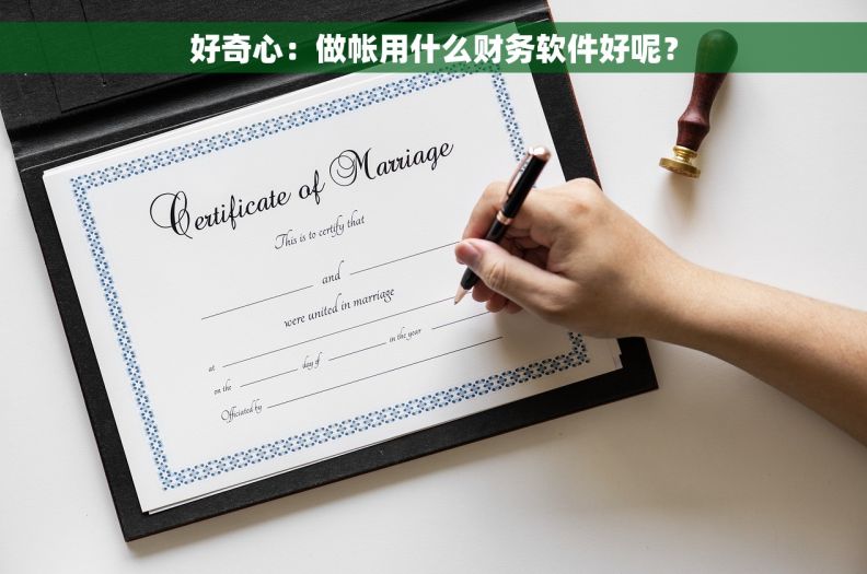好奇心：做帐用什么财务软件好呢？