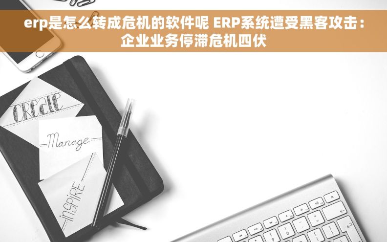 erp是怎么转成危机的软件呢 ERP系统遭受黑客攻击：企业业务停滞危机四伏