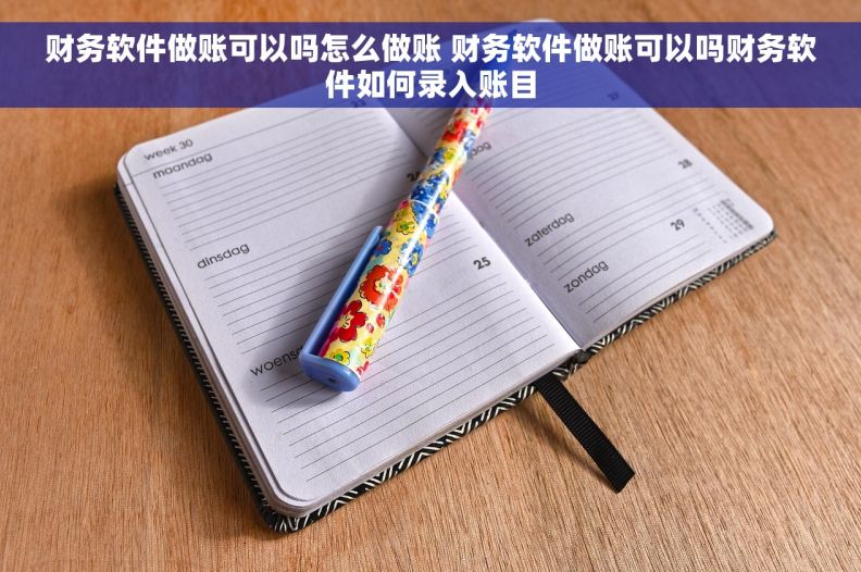 财务软件做账可以吗怎么做账 财务软件做账可以吗财务软件如何录入账目