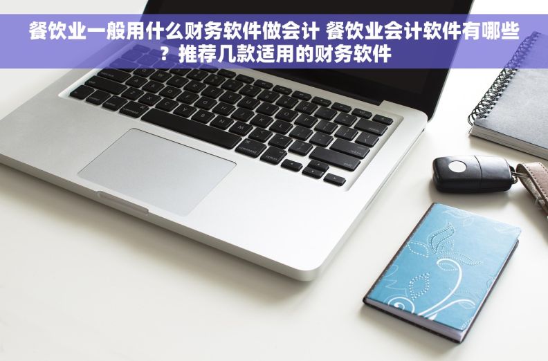 餐饮业一般用什么财务软件做会计 餐饮业会计软件有哪些？推荐几款适用的财务软件