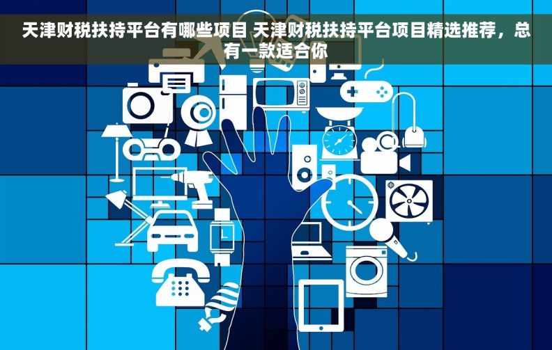天津财税扶持平台有哪些项目 天津财税扶持平台项目精选推荐,总有一款适合你 天津财税扶持平台有哪些项目 天津财税扶持平台项目精选推荐,总有一款适合你