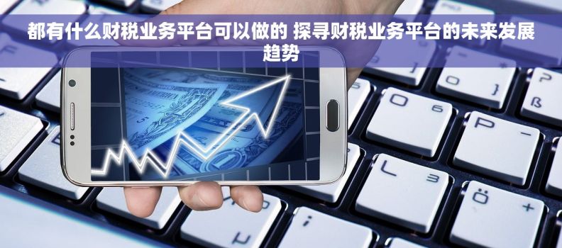 都有什么财税业务平台可以做的 探寻财税业务平台的未来发展趋势