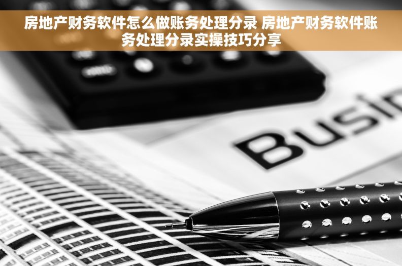 房地产财务软件怎么做账务处理分录 房地产财务软件账务处理分录实操技巧分享 房地产财务软件怎么做账务处理分录 房地产财务软件账务处理分录实操技巧分享
