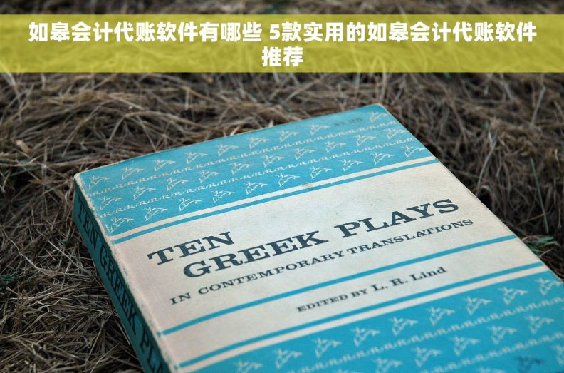 如皋会计代账软件有哪些 5款实用的如皋会计代账软件推荐 如皋会计代账软件有哪些 5款实用的如皋会计代账软件推荐