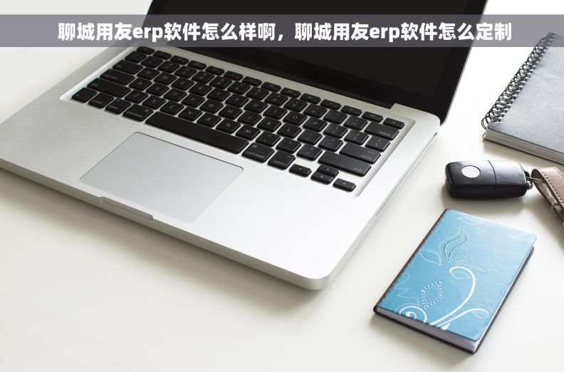  聊城用友erp软件怎么样啊，聊城用友erp软件怎么定制