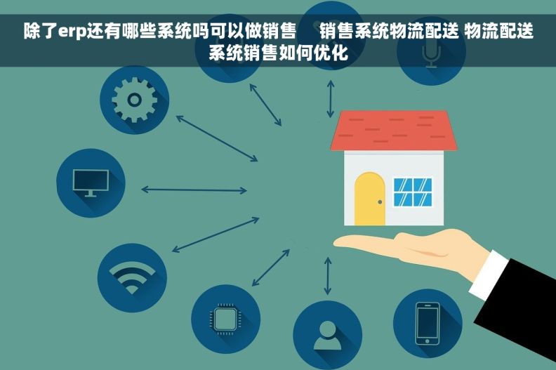 除了erp还有哪些系统吗可以做销售 销售系统物流配送 物流配送系统销售如何优化 除了erp还有哪些系统吗可以做销售 销售系统物流配送 物流配送系统销售如何优化