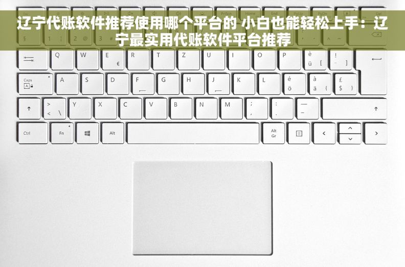 辽宁代账软件推荐使用哪个平台的 小白也能轻松上手:辽宁最实用代账软件平台推荐 辽宁代账软件推荐使用哪个平台的 小白也能轻松上手:辽宁最实用代账软件平台推荐