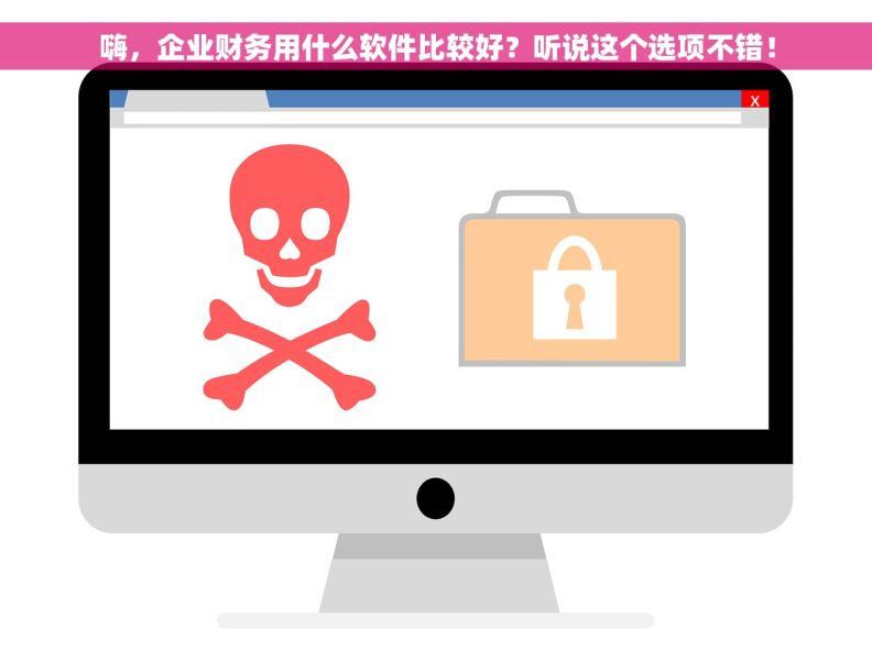 嗨，企业财务用什么软件比较好？听说这个选项不错！