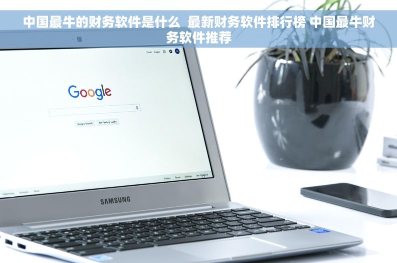 中国最牛的财务软件是什么  最新财务软件排行榜 中国最牛财务软件推荐