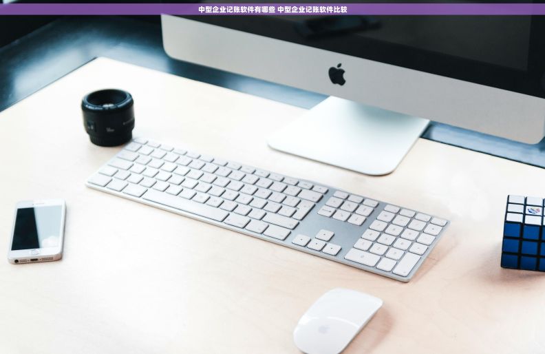 中型企业记账软件有哪些 中型企业记账软件比较