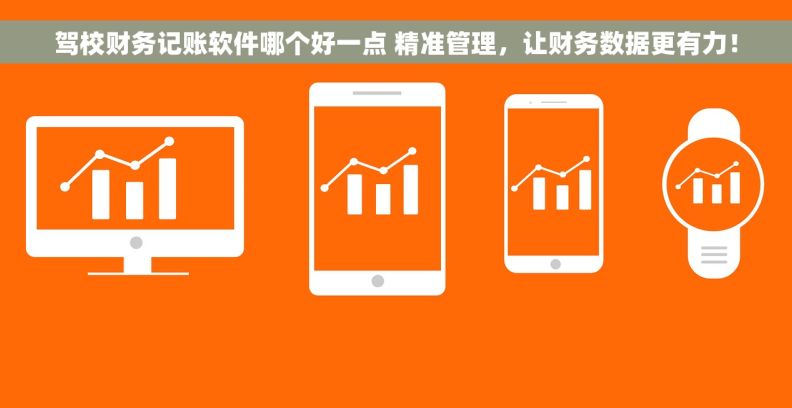 驾校财务记账软件哪个好一点 精准管理，让财务数据更有力！