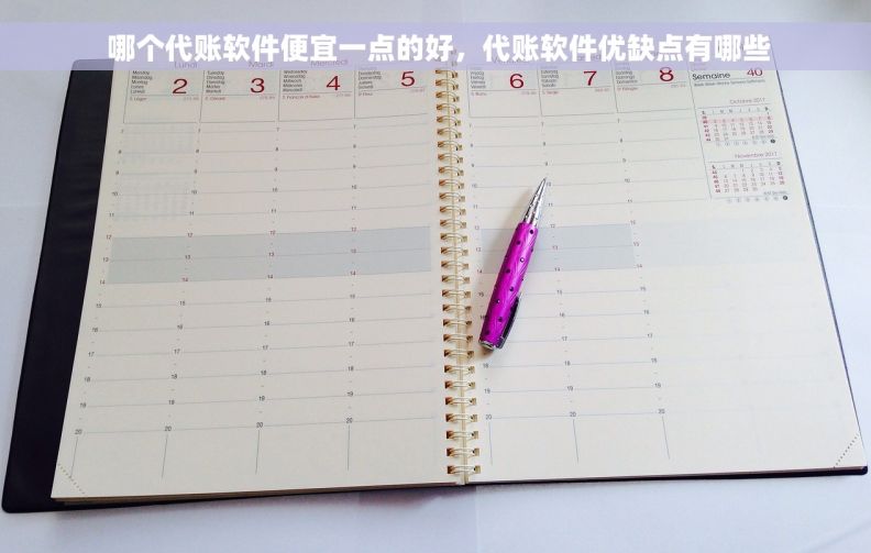  哪个代账软件便宜一点的好，代账软件优缺点有哪些