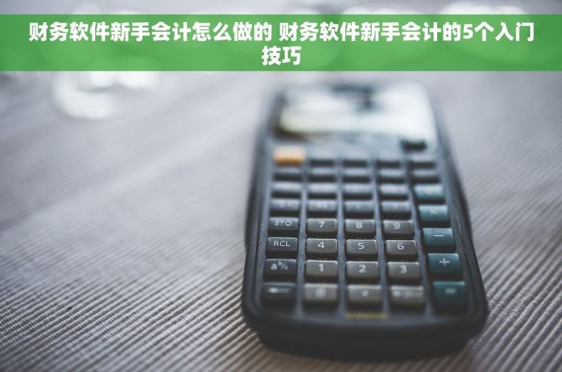 财务软件新手会计怎么做的 财务软件新手会计的5个入门技巧