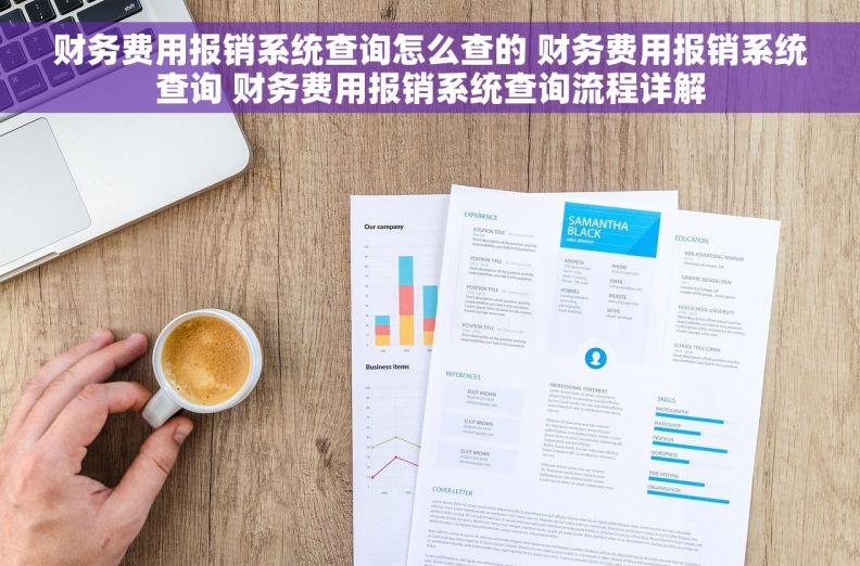 财务费用报销系统查询怎么查的 财务费用报销系统查询 财务费用报销系统查询流程详解