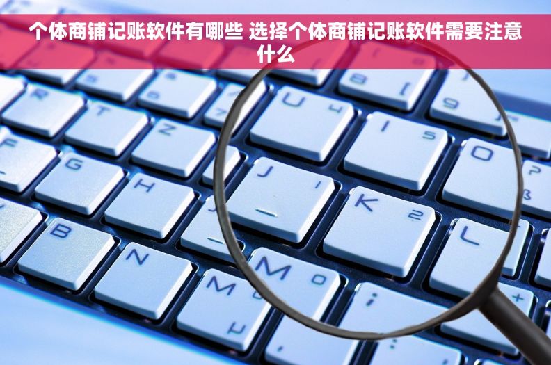 个体商铺记账软件有哪些 选择个体商铺记账软件需要注意什么 个体商铺记账软件有哪些 选择个体商铺记账软件需要注意什么