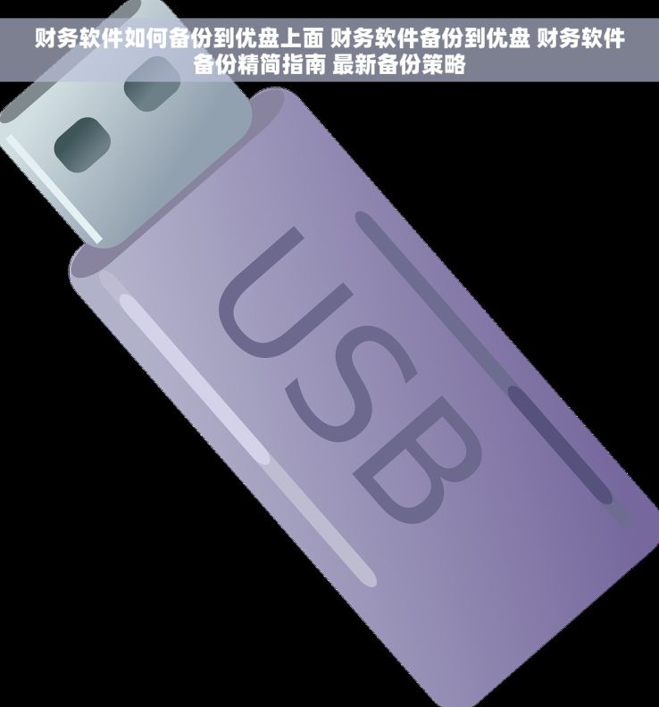 财务软件如何备份到优盘上面 财务软件备份到优盘 财务软件备份精简指南 最新备份策略
