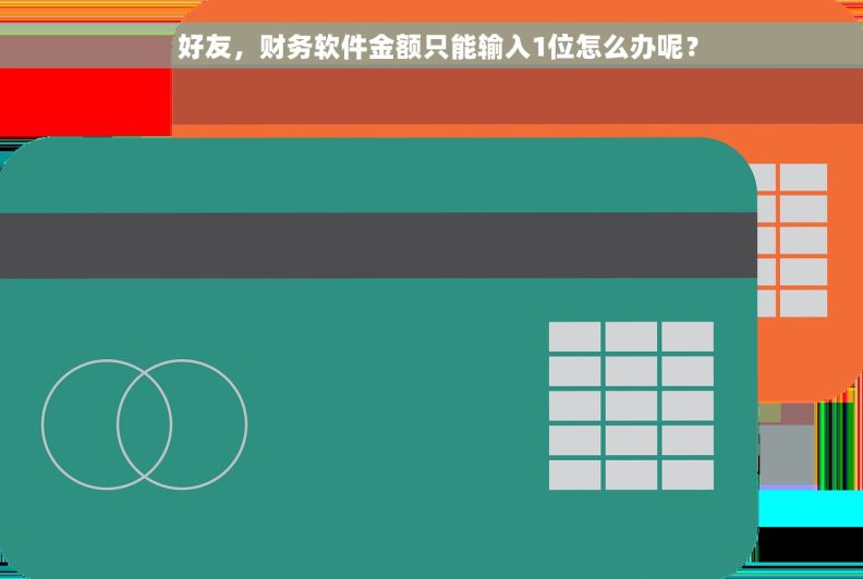   好友，财务软件金额只能输入1位怎么办呢？