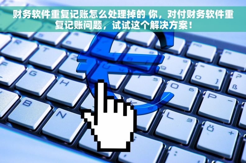 财务软件重复记账怎么处理掉的 你，对付财务软件重复记账问题，试试这个解决方案！
