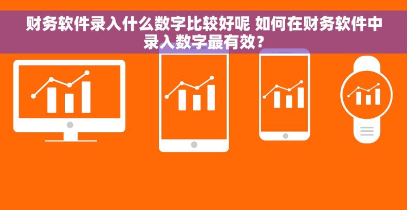 财务软件录入什么数字比较好呢 如何在财务软件中录入数字最有效？