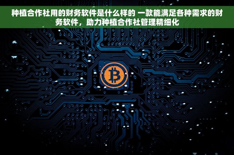 种植合作社用的财务软件是什么样的 一款能满足各种需求的财务软件，助力种植合作社管理精细化