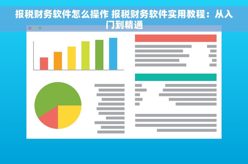 报税财务软件怎么操作 报税财务软件实用教程：从入门到精通