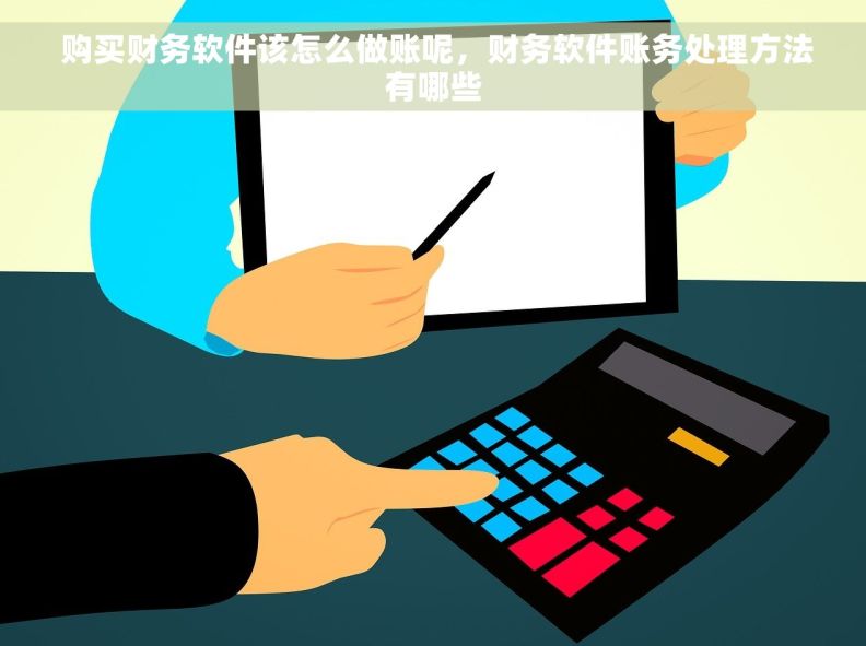  购买财务软件该怎么做账呢，财务软件账务处理方法有哪些