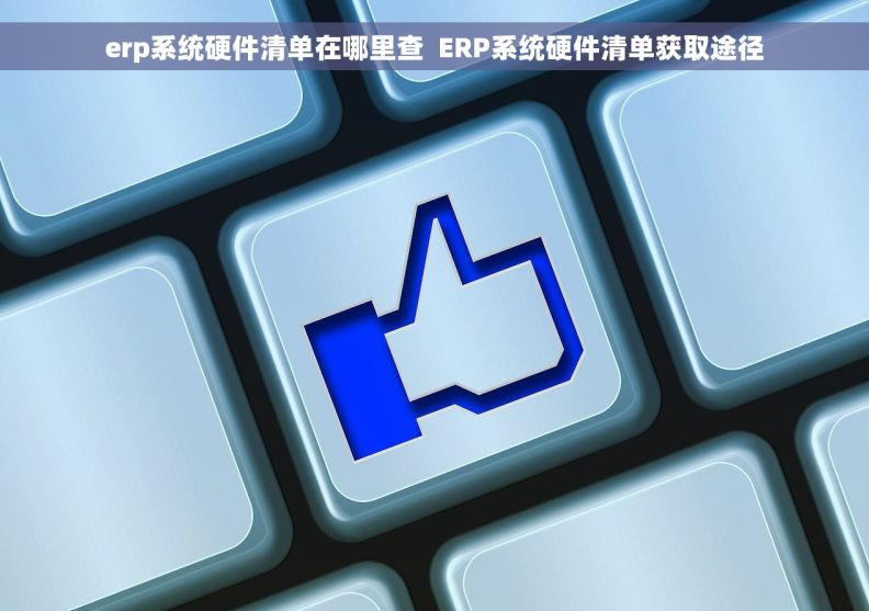 erp系统硬件清单在哪里查  ERP系统硬件清单获取途径 erp系统硬件清单在哪里查  ERP系统硬件清单获取途径