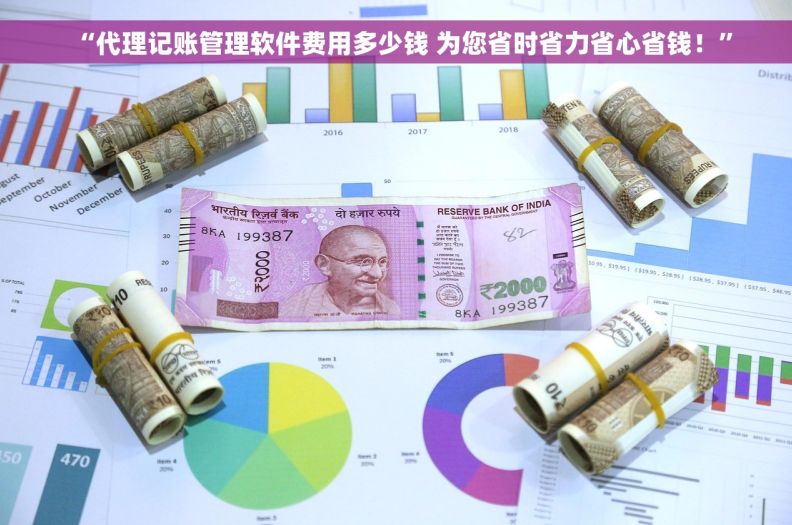 “代理记账管理软件费用多少钱 为您省时省力省心省钱！”
