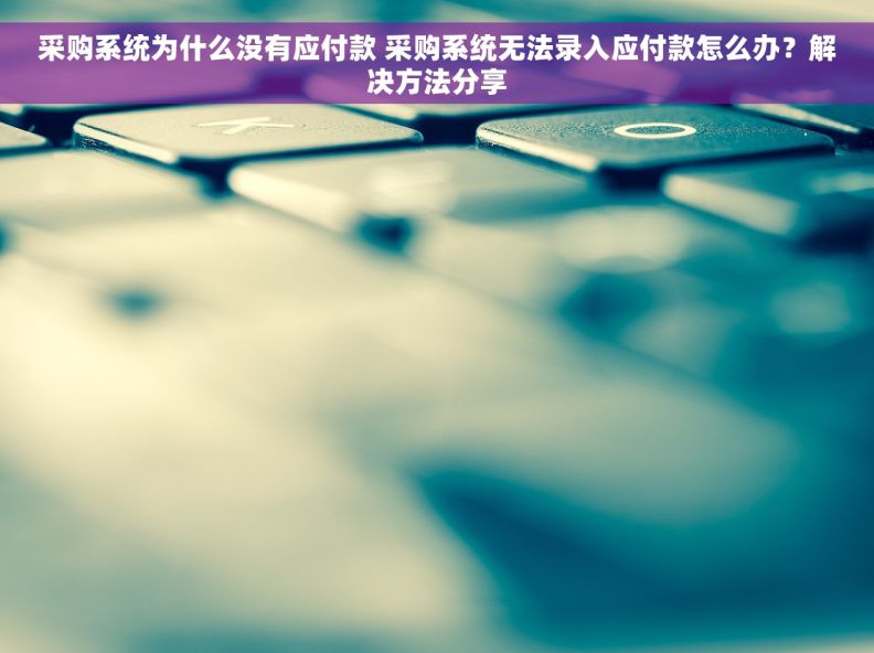 采购系统为什么没有应付款 采购系统无法录入应付款怎么办？解决方法分享