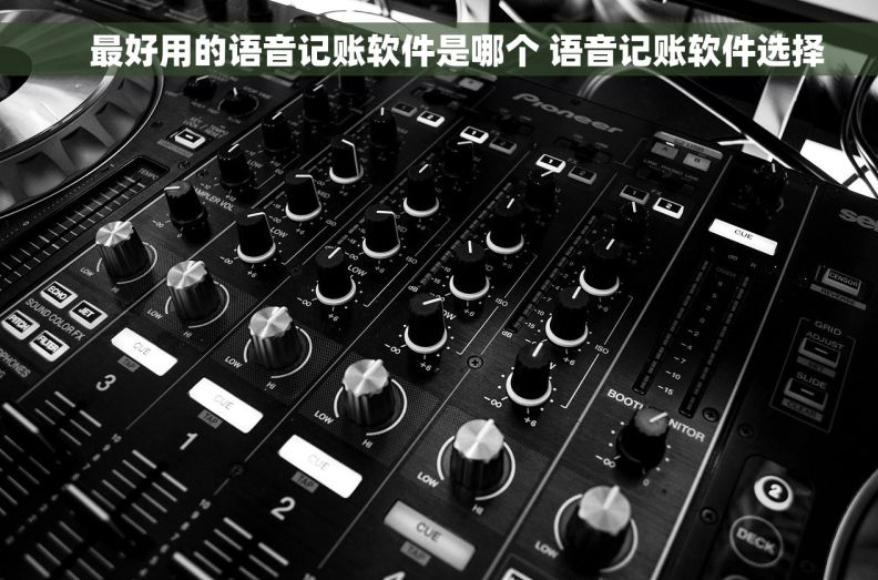     最好用的语音记账软件是哪个 语音记账软件选择
