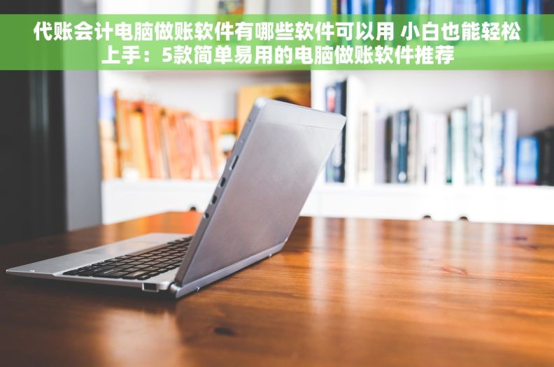 代账会计电脑做账软件有哪些软件可以用 小白也能轻松上手：5款简单易用的电脑做账软件推荐
