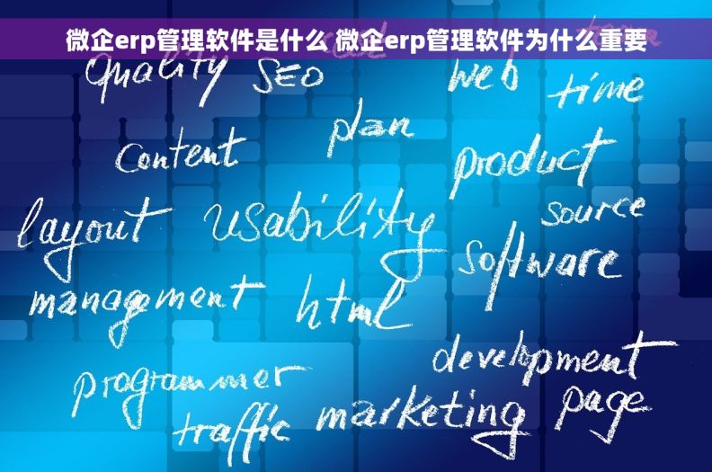 微企erp管理软件是什么 微企erp管理软件为什么重要
