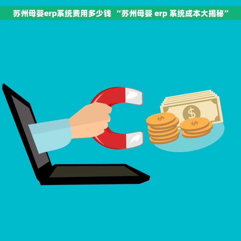 苏州母婴erp系统费用多少钱 “苏州母婴 erp 系统成本大揭秘”
