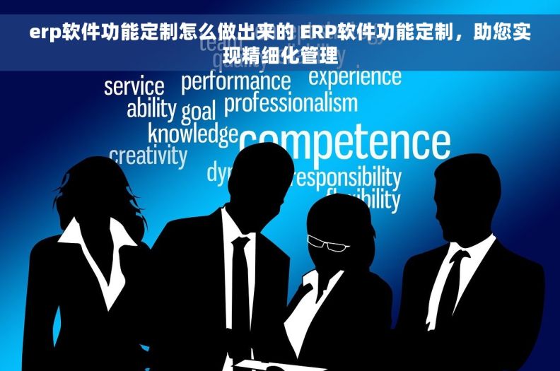 erp软件功能定制怎么做出来的 ERP软件功能定制,助您实现精细化管理 erp软件功能定制怎么做出来的 ERP软件功能定制,助您实现精细化管理