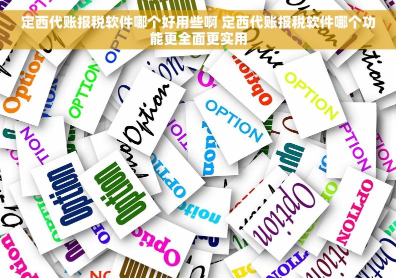 定西代账报税软件哪个好用些啊 定西代账报税软件哪个功能更全面更实用 定西代账报税软件哪个好用些啊 定西代账报税软件哪个功能更全面更实用