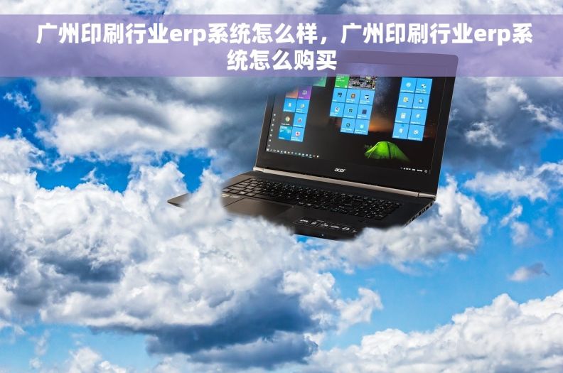 广州印刷行业erp系统怎么样,广州印刷行业erp系统怎么购买  广州印刷行业erp系统怎么样,广州印刷行业erp系统怎么购买