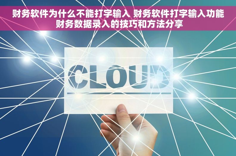 财务软件为什么不能打字输入 财务软件打字输入功能 财务数据录入的技巧和方法分享 财务软件为什么不能打字输入 财务软件打字输入功能 财务数据录入的技巧和方法分享