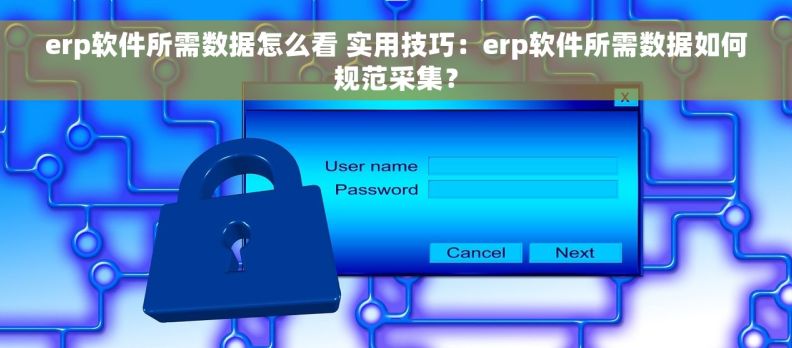 erp软件所需数据怎么看 实用技巧：erp软件所需数据如何规范采集？