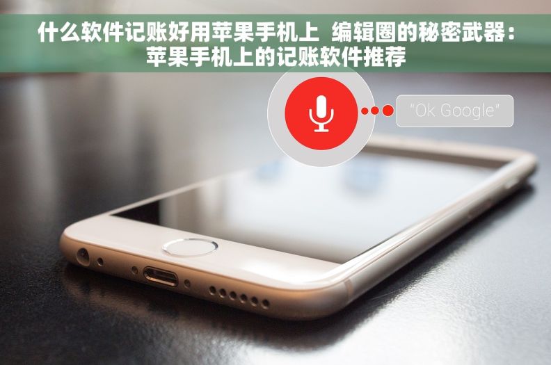 什么软件记账好用苹果手机上  编辑圈的秘密武器：苹果手机上的记账软件推荐