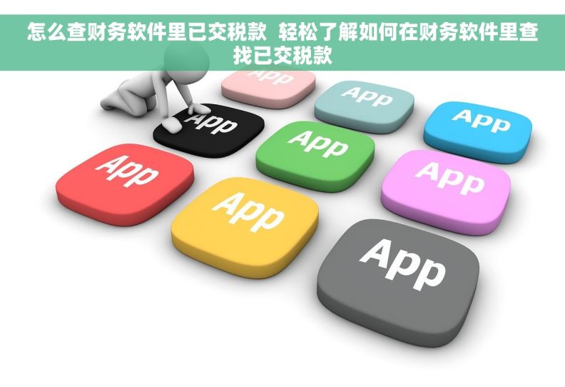 怎么查财务软件里已交税款  轻松了解如何在财务软件里查找已交税款
