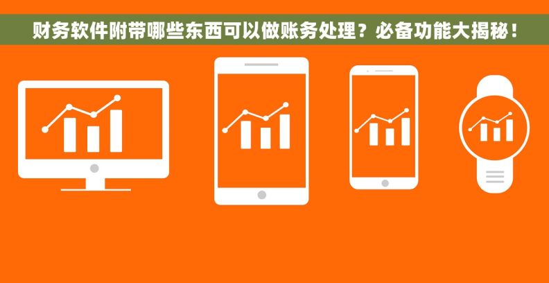 财务软件附带哪些东西可以做账务处理?必备功能大揭秘! 财务软件附带哪些东西可以做账务处理?必备功能大揭秘!