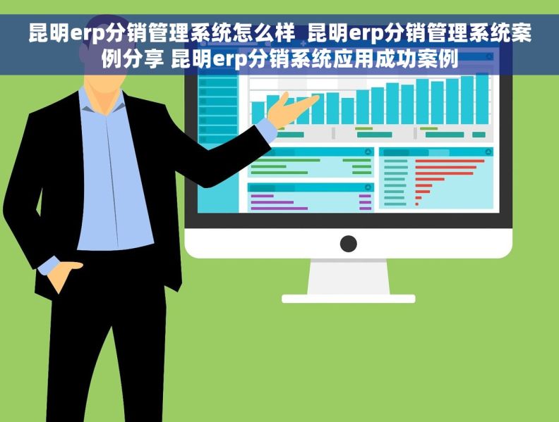 昆明erp分销管理系统怎么样  昆明erp分销管理系统案例分享 昆明erp分销系统应用成功案例